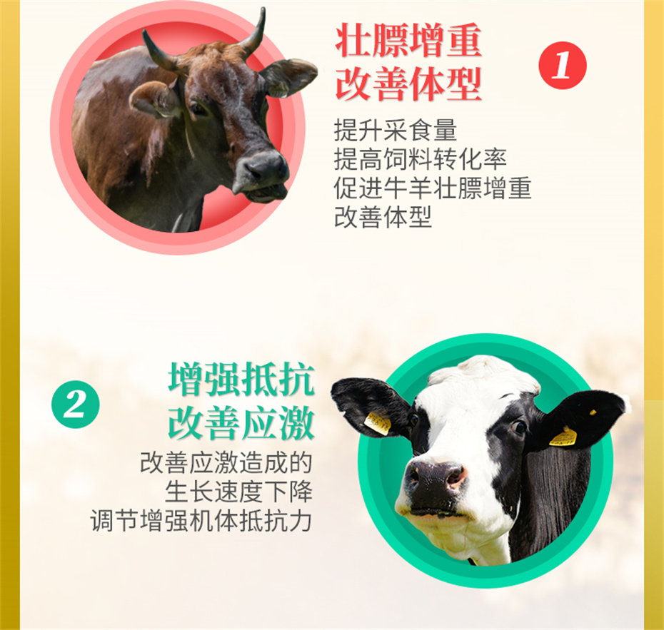 吉隆达动保牛羊饲料添加剂牛羊壮膘王