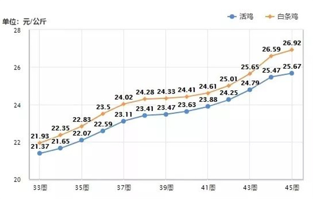 肌肉价格走势图