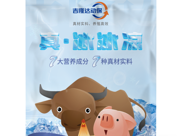 夏季母猪返情率高、产仔数少？热应激正在摧毁猪场繁殖力！