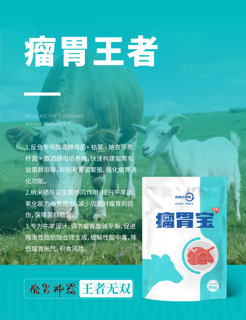 20250607产品海报-05