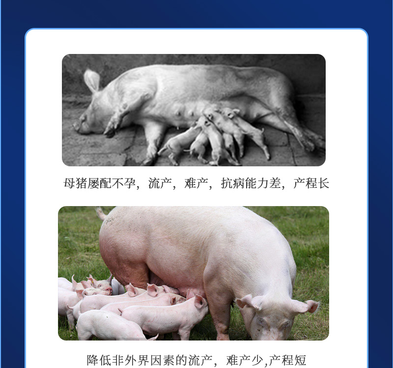 健立血最新详情介绍03