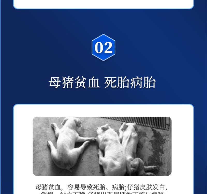 健立血最新详情介绍04