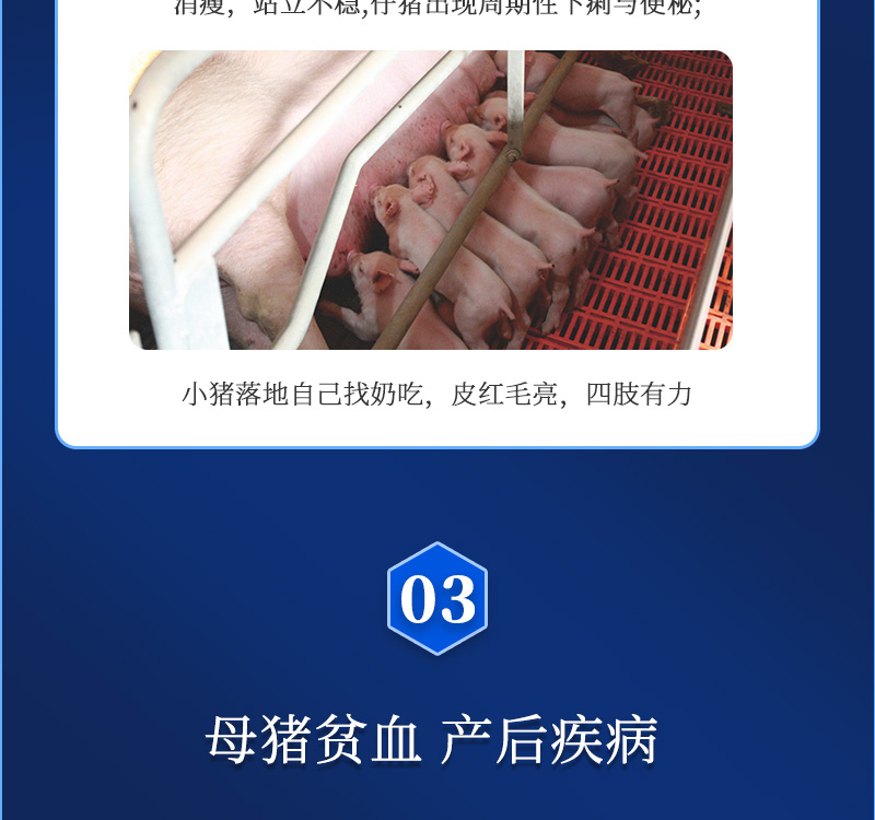 健立血最新详情介绍05