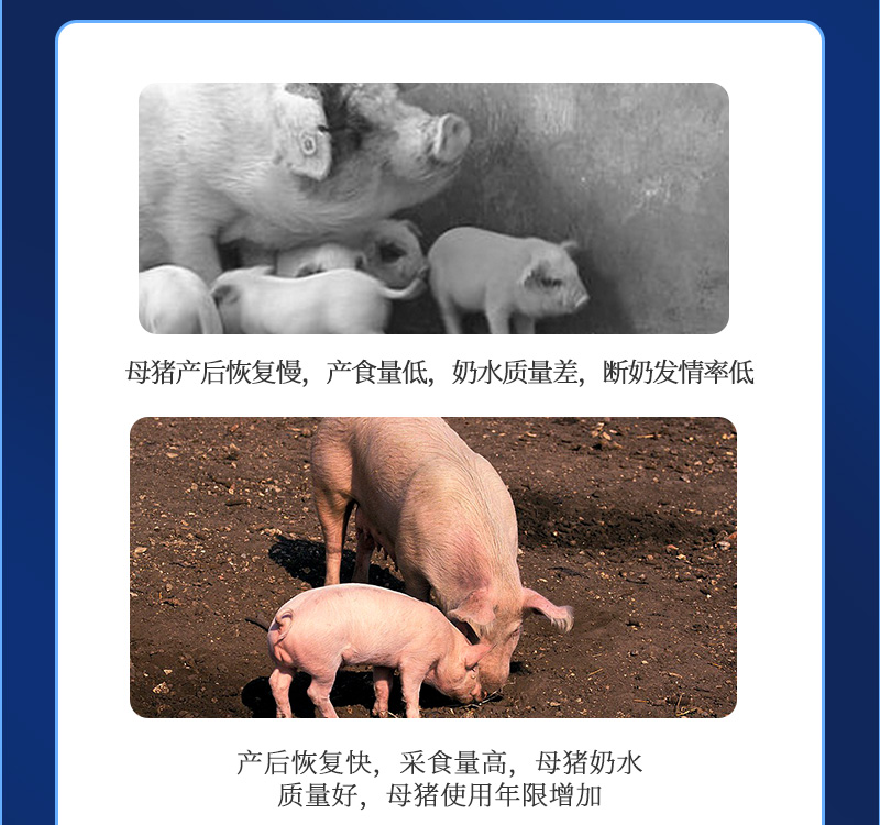 健立血最新详情介绍06