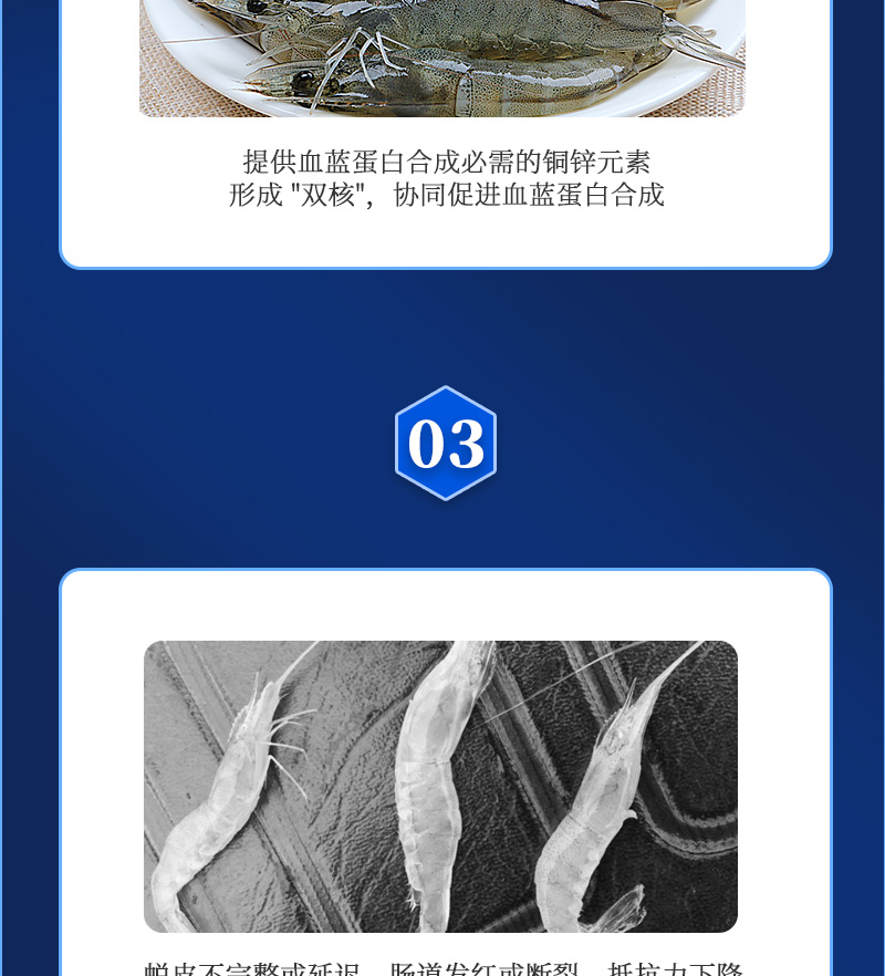 健立血虾详情_05