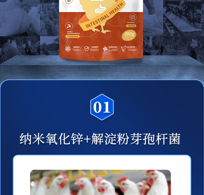 肠必健最新详情页_02
