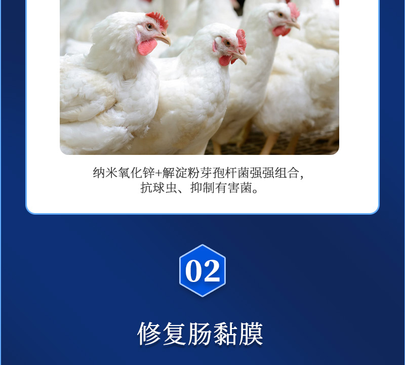 肠必健最新详情页_03