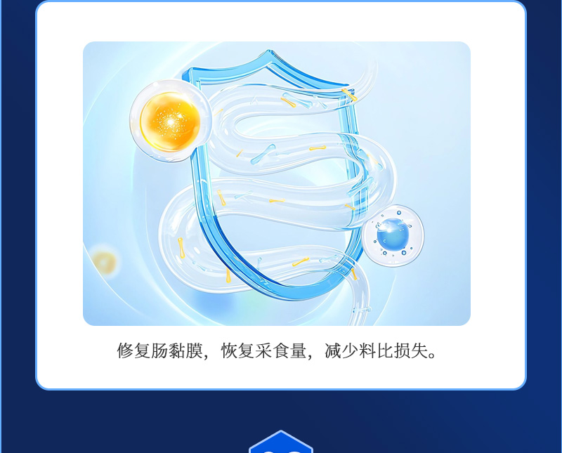 肠必健最新详情页_04