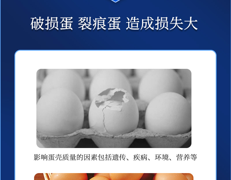 蛋无忧最新详情页_03