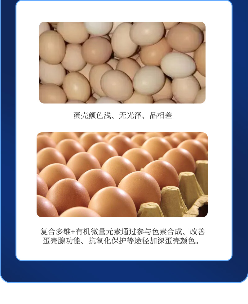 蛋无忧最新详情页_07