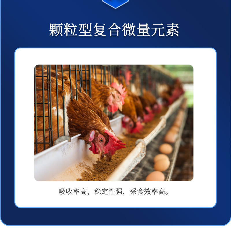 蛋无忧G1最新详情页_04