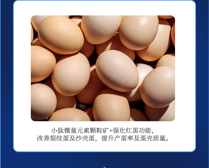 蛋无忧G2最新详情页_03