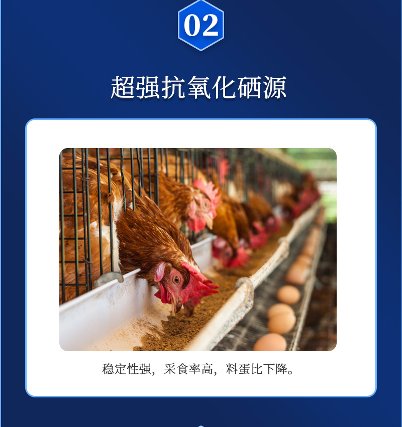 蛋无忧G2最新详情页_04