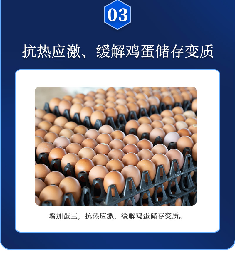 蛋无忧G2最新详情页_05