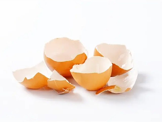 蛋壳品质