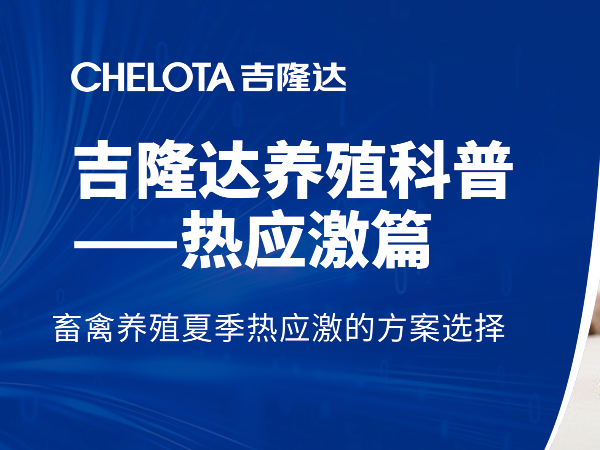 畜禽养殖夏季热应激的方案选择