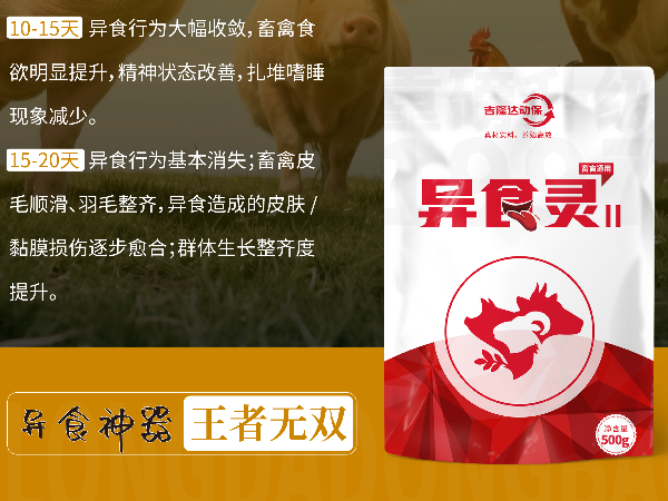 养了这么多年猪，你算过异食癖一年“吃”掉你多少钱吗？