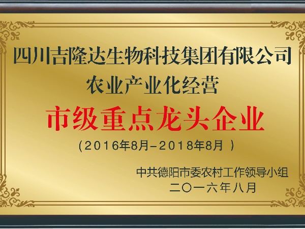 权威认证——吉隆达荣誉资质概览