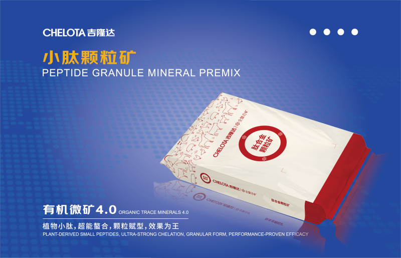 饲料工业展灯箱图确认转曲-04