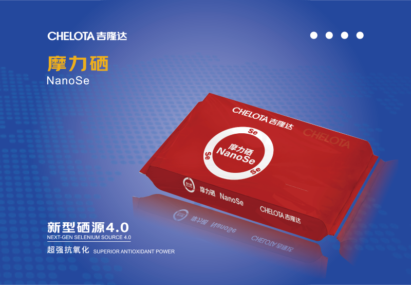 饲料工业展灯箱图确认转曲-05