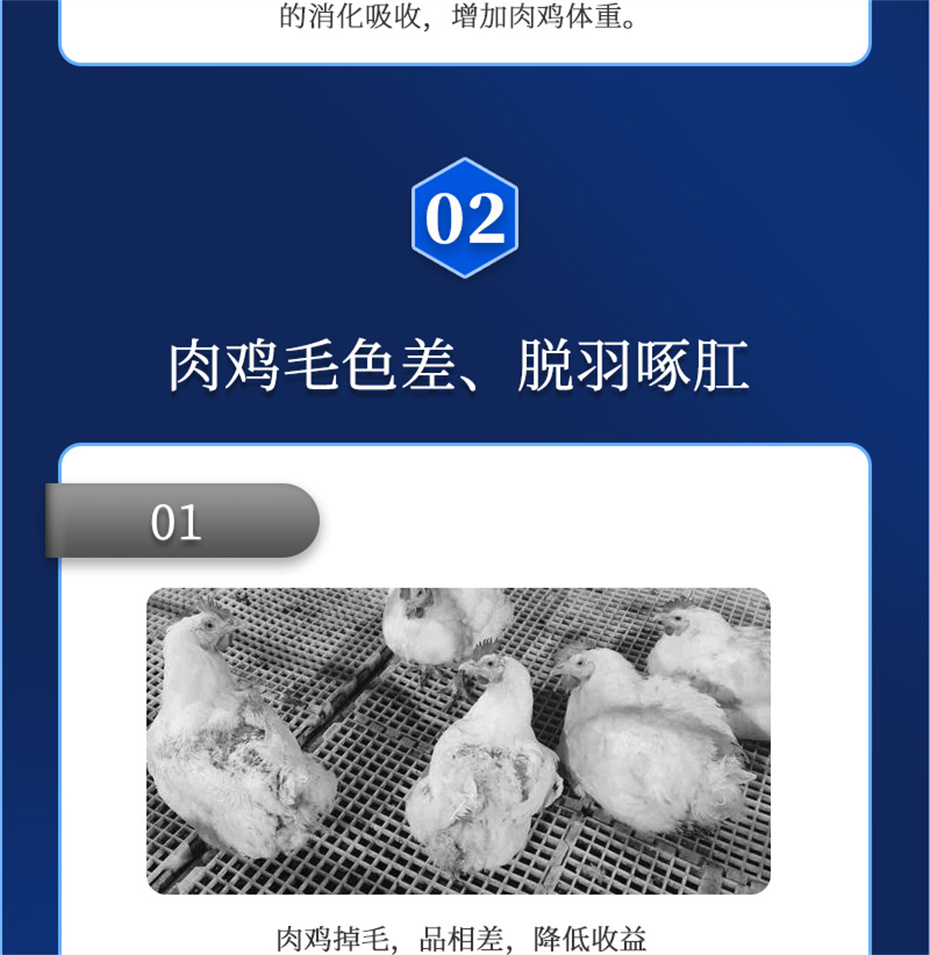 吉隆达动保禽饲料添加剂禽肽重产品介绍