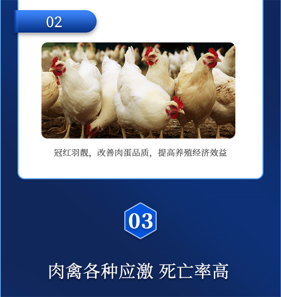 吉隆达动保禽饲料添加剂禽肽重产品介绍