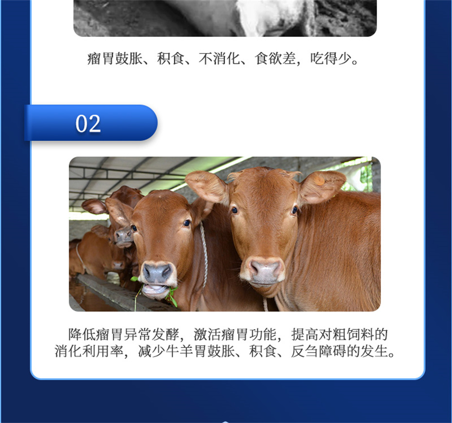 吉隆达动保牛羊饲料添加剂胃兴plus产品介绍