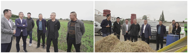基于稻-畜种养循环的稻田绿色低碳高效生产技术集成及产业示范