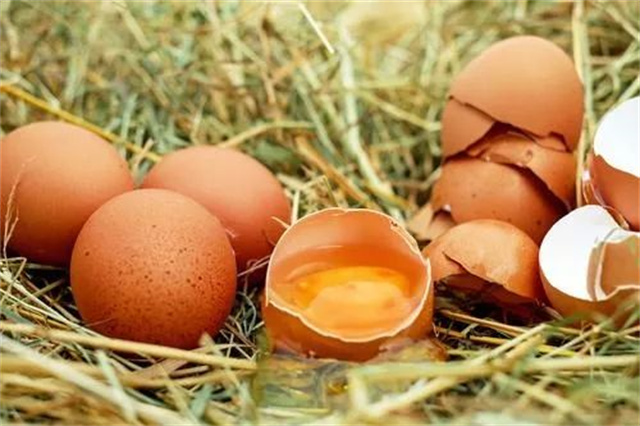 蛋鸡行业年度关键词