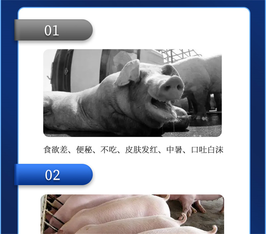 吉隆达动保饲料添加剂真·冰冰凉