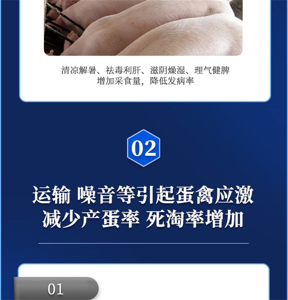吉隆达动保饲料添加剂真·冰冰凉