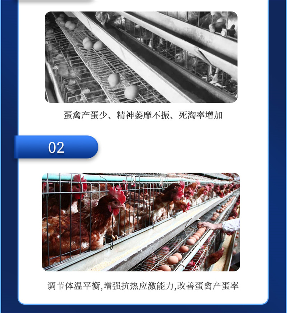 吉隆达动保饲料添加剂真·冰冰凉