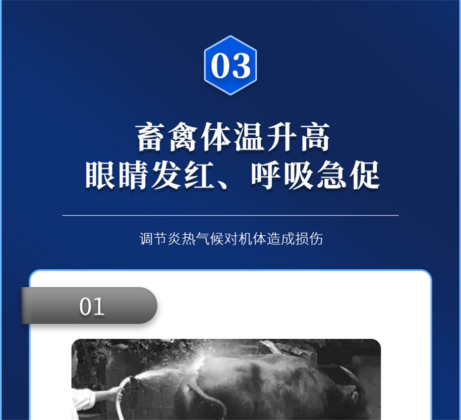吉隆达动保饲料添加剂真·冰冰凉