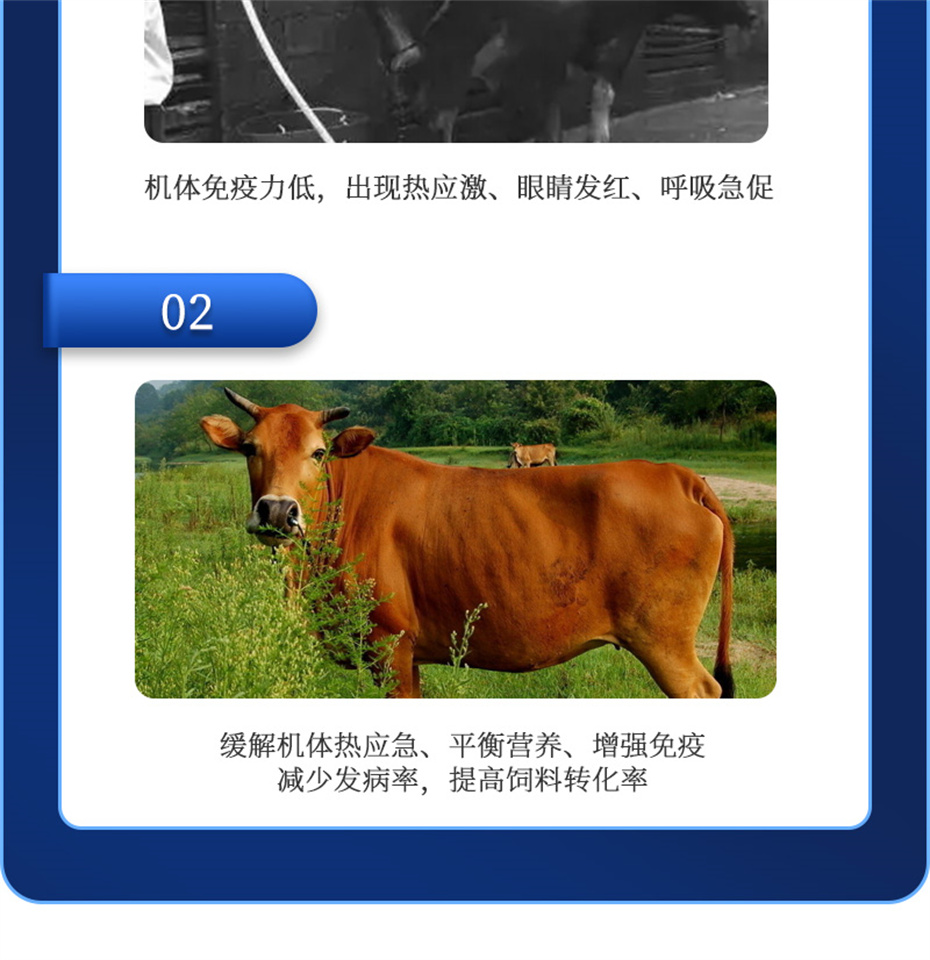 吉隆达动保饲料添加剂真·冰冰凉