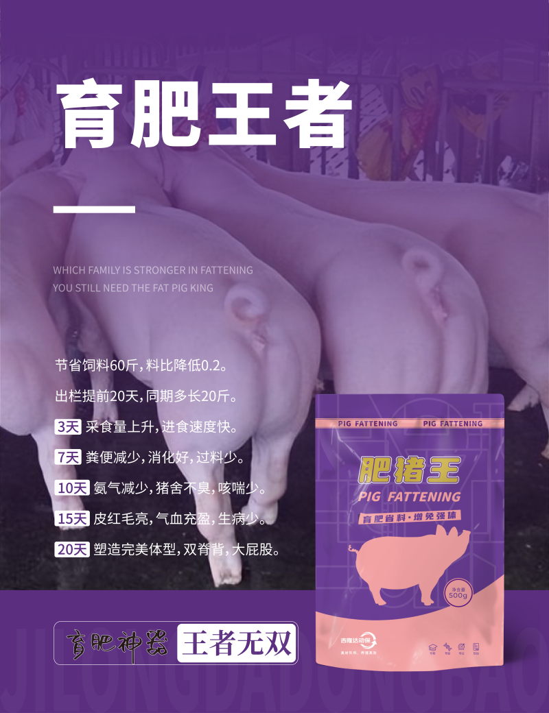 20250607产品海报_画板 1