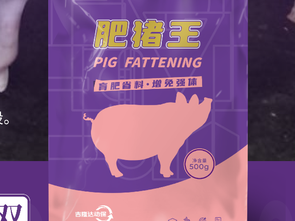 屠宰户和猪贩子最先看什么？——皮红毛亮、双脊背、满臀型，肥猪王如何帮你把"卖相"变成议价权