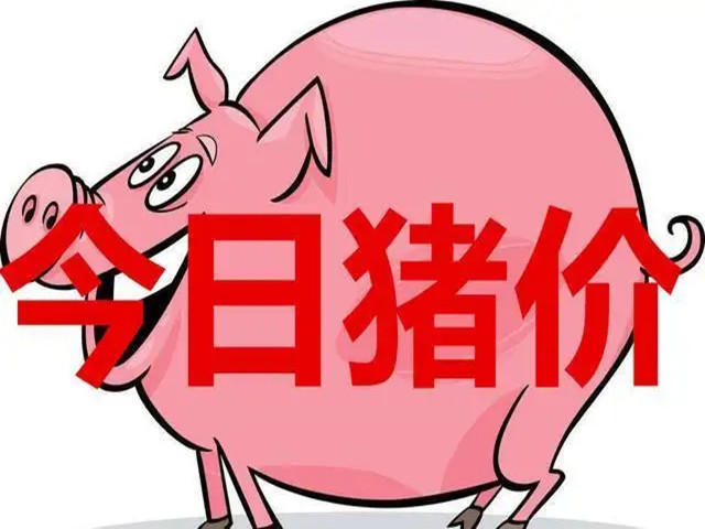 今日猪价 | 2022年6月8日全国猪价行情一览表！