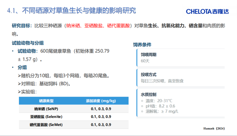 图片10