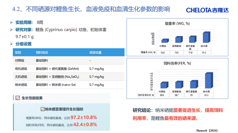 图片11