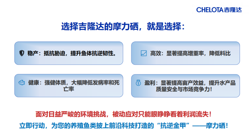 图片12