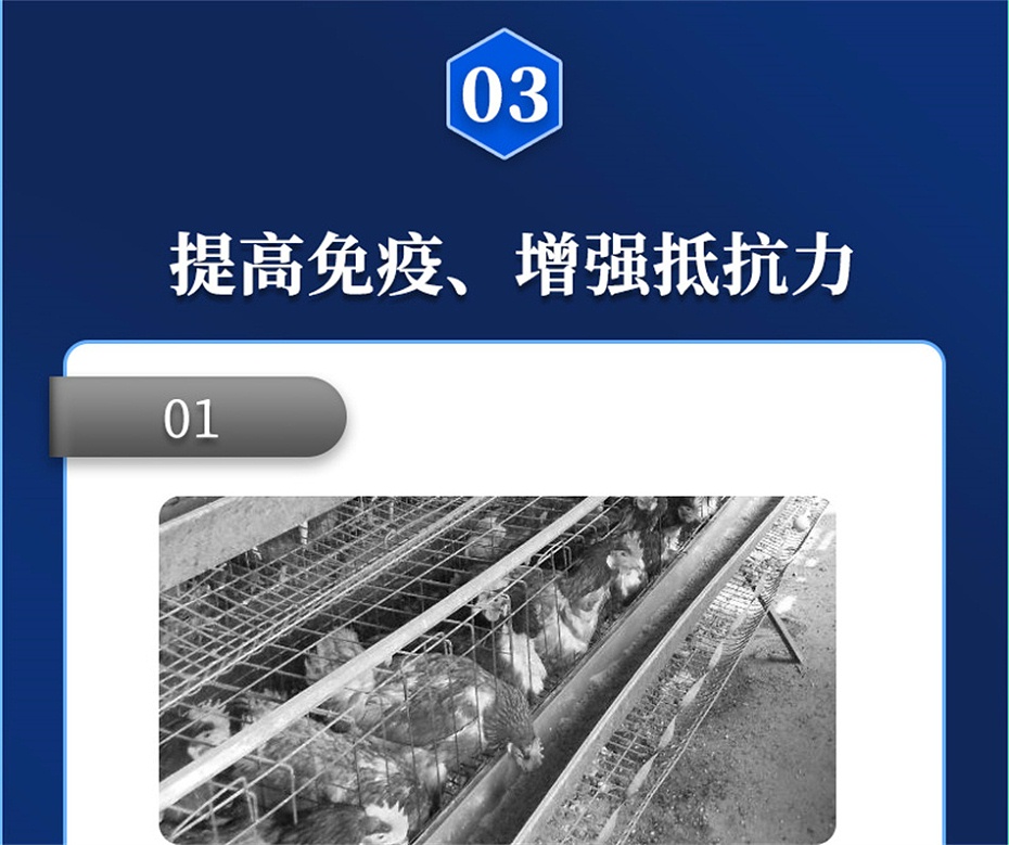 吉隆达动保禽饲料添加剂好色