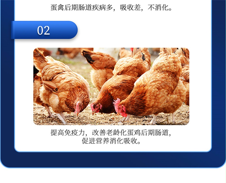 吉隆达动保禽饲料添加剂好色