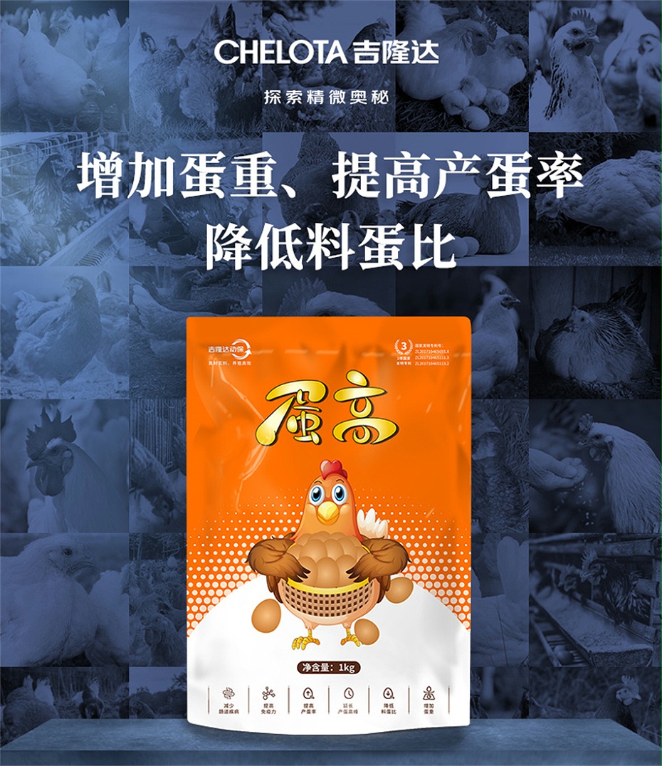 吉隆达动保禽饲料添加剂蛋高