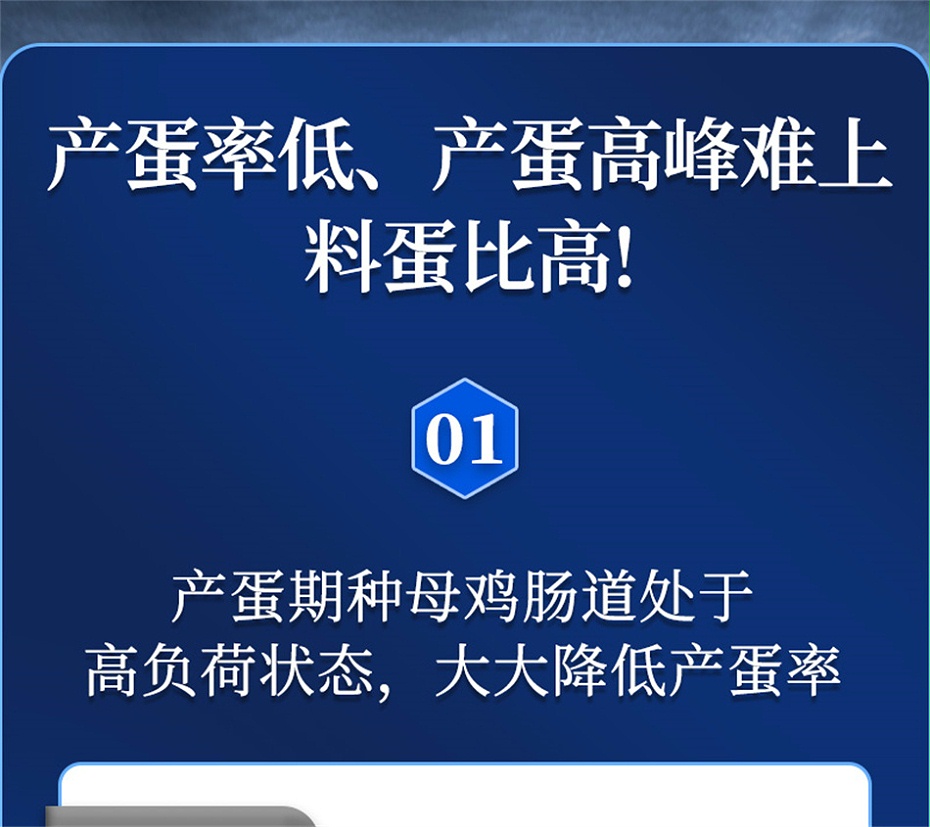 吉隆达动保禽饲料添加剂蛋高