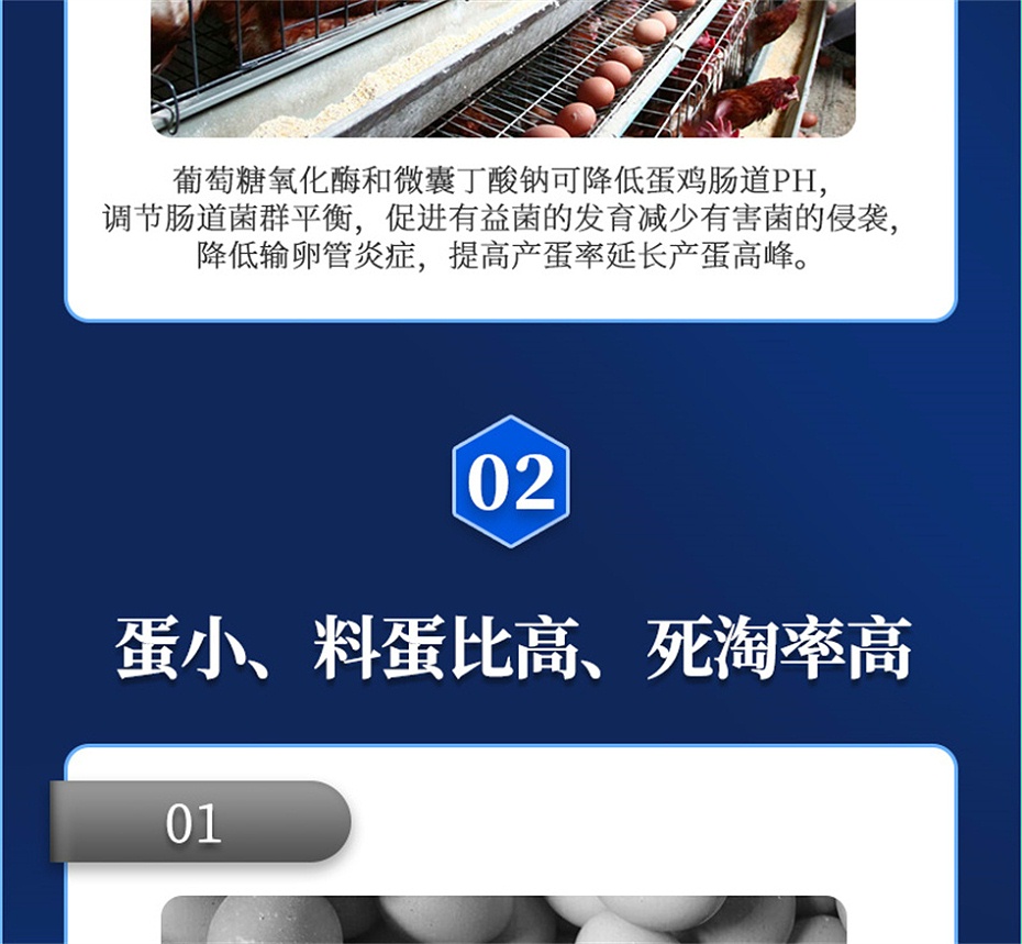 吉隆达动保禽饲料添加剂蛋高