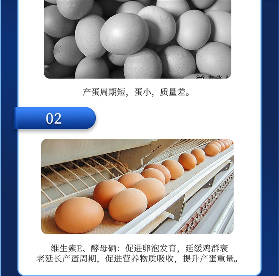 吉隆达动保禽饲料添加剂蛋高
