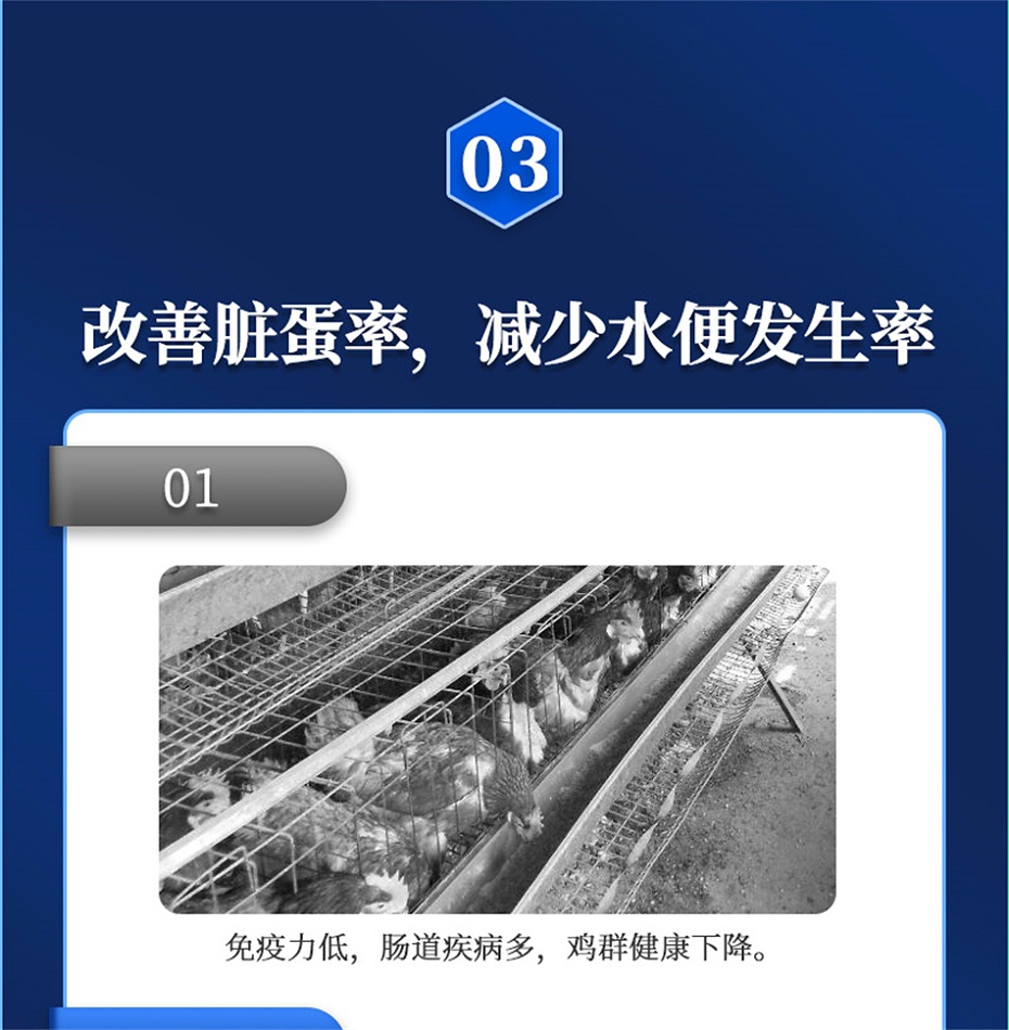 吉隆达动保禽饲料添加剂蛋高
