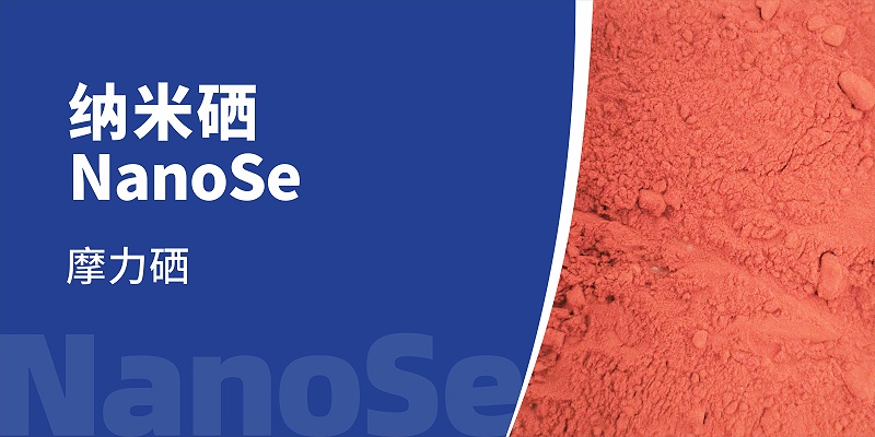 20240407吉隆达01-1500x750mm