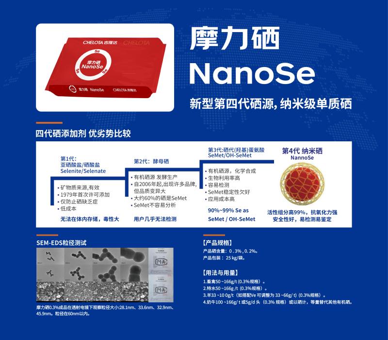 20260203太阳鸟-02