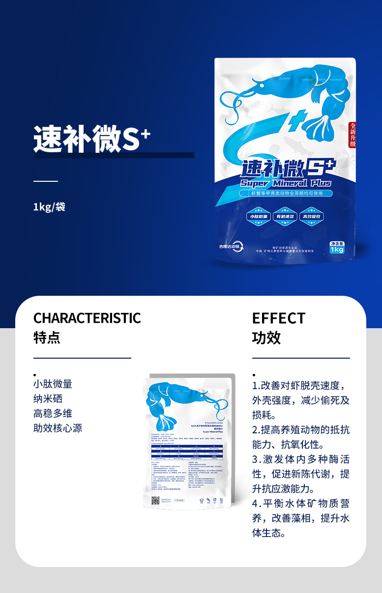 速补微S+_01